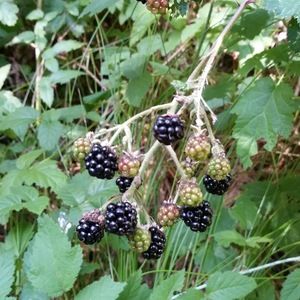 Meet your Posher, Keith